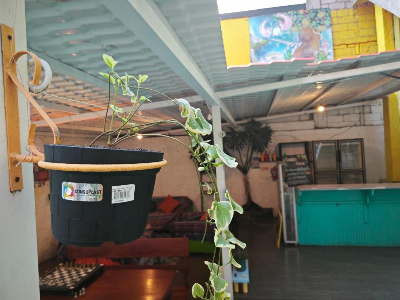 Garden House Hostal Banos  Ngoại thất bức ảnh
