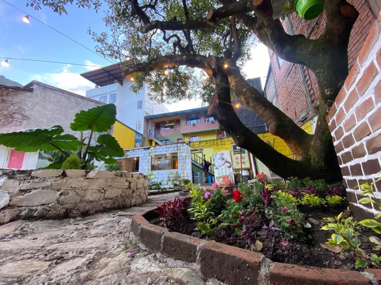Garden House Hostal Banos  Ngoại thất bức ảnh