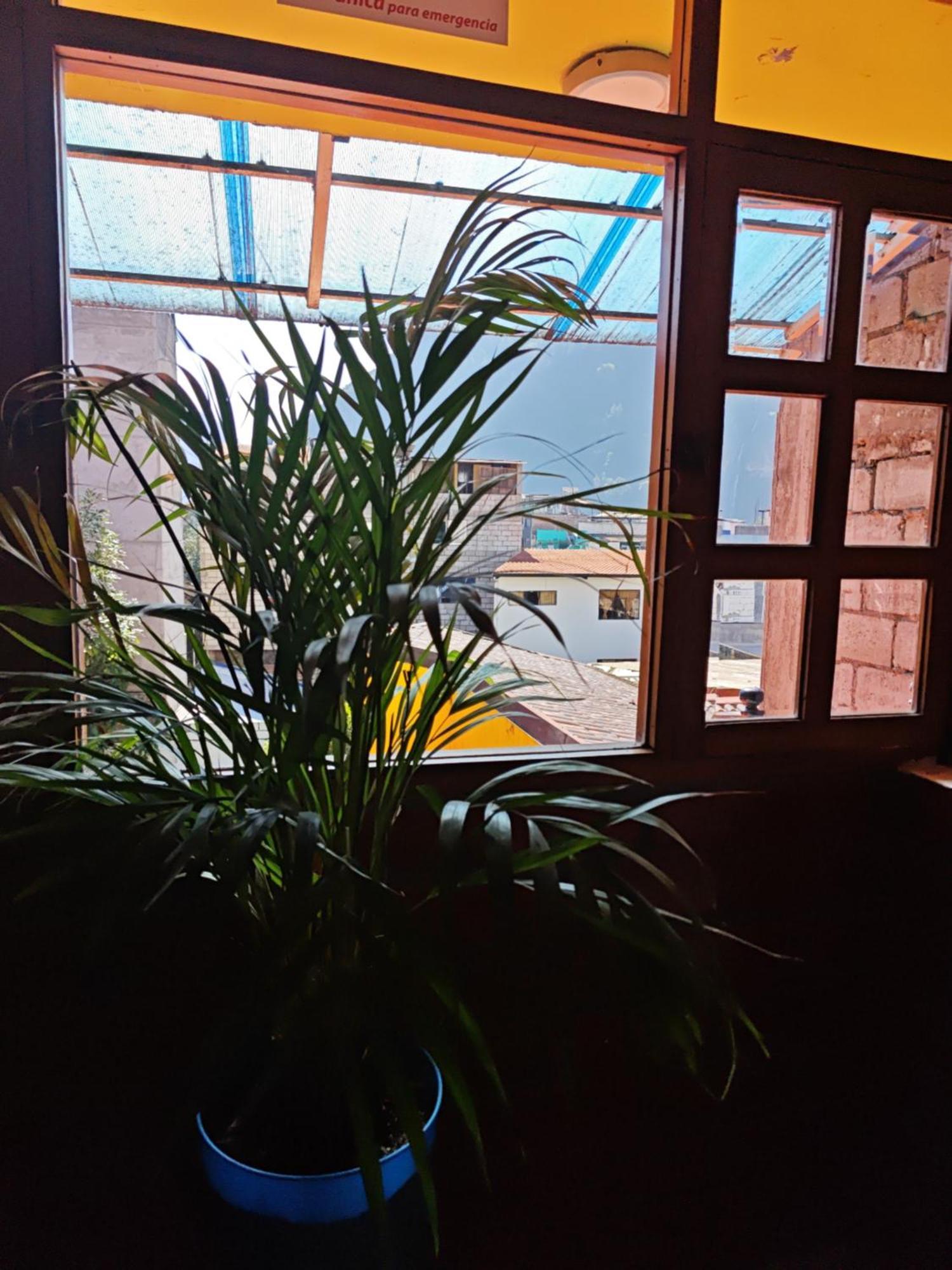 Garden House Hostal Banos  Ngoại thất bức ảnh