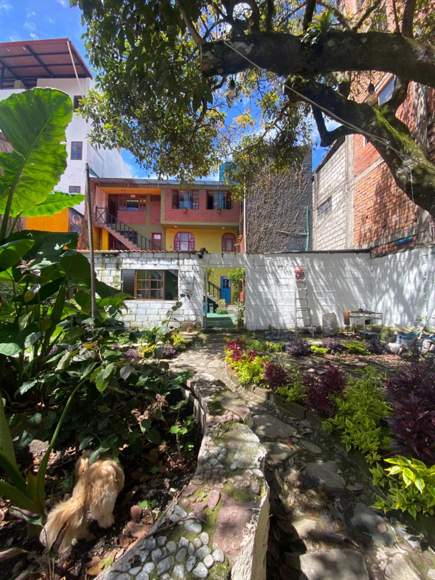Garden House Hostal Banos  Ngoại thất bức ảnh